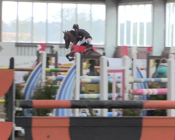Hallenspringturnier Greven 2016