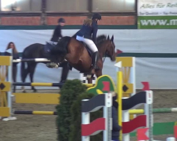 Reitturnier Monheim - Gut Blee 2016