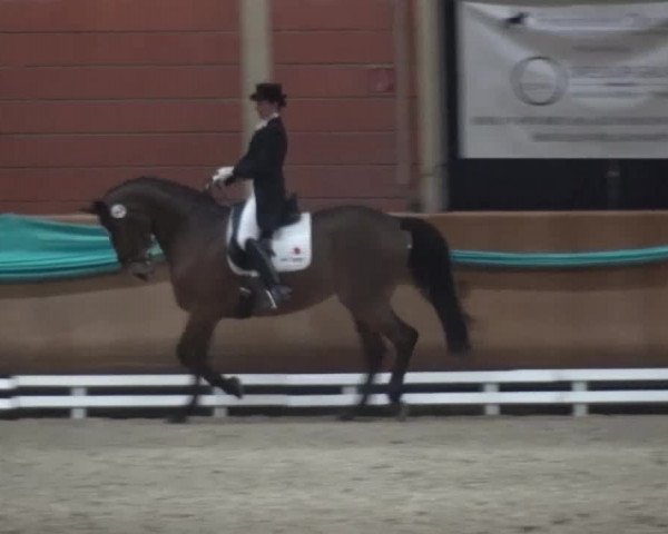 EQUIVA Dressur-Gala 2016