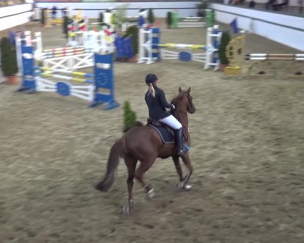 Reitturnier Monheim - Gut Blee 2016