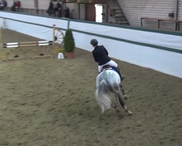 Reitturnier Monheim - Gut Blee 2016