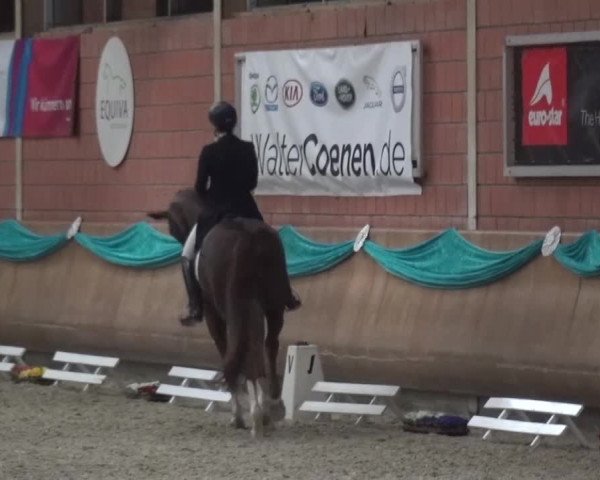 EQUIVA Dressur-Gala 2016