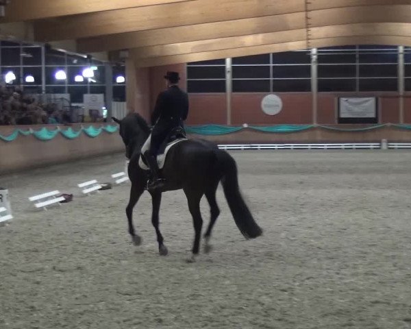 EQUIVA Dressur-Gala 2016