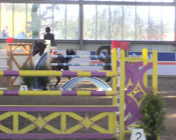 Hallenspringturnier Greven 2016