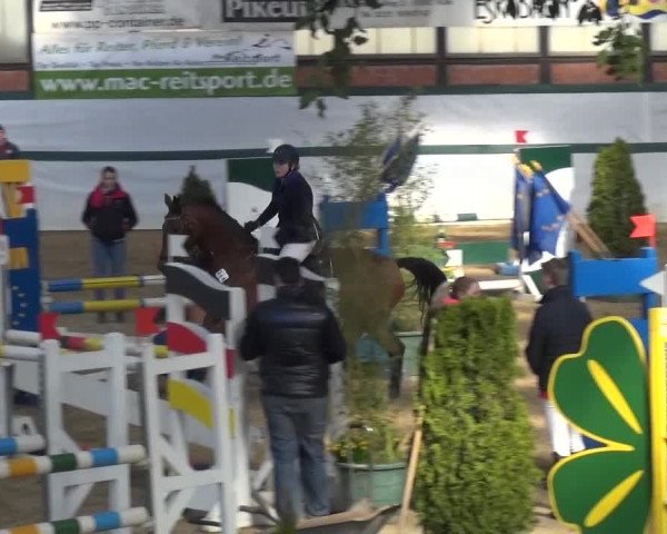 Reitturnier Monheim - Gut Blee 2016
