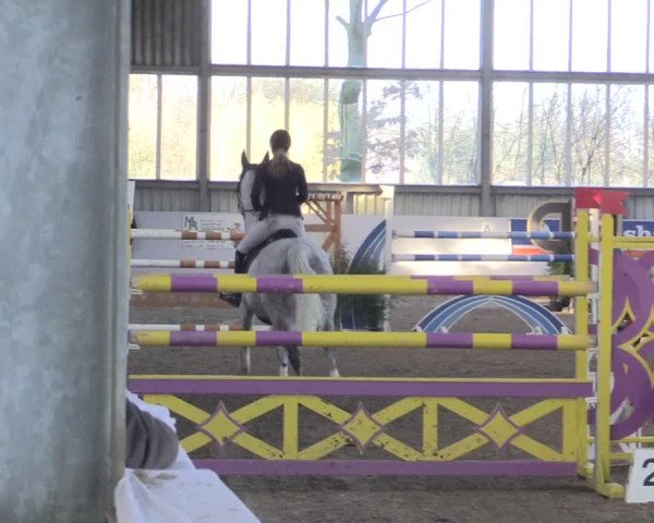 Hallenspringturnier Greven 2016