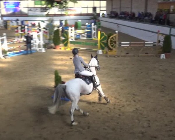 Reitturnier Monheim - Gut Blee 2016