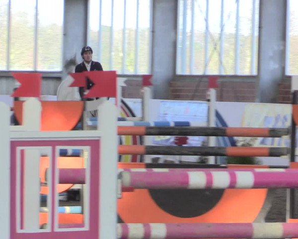 Hallenspringturnier Greven 2016