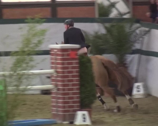Reitturnier Monheim - Gut Blee 2016