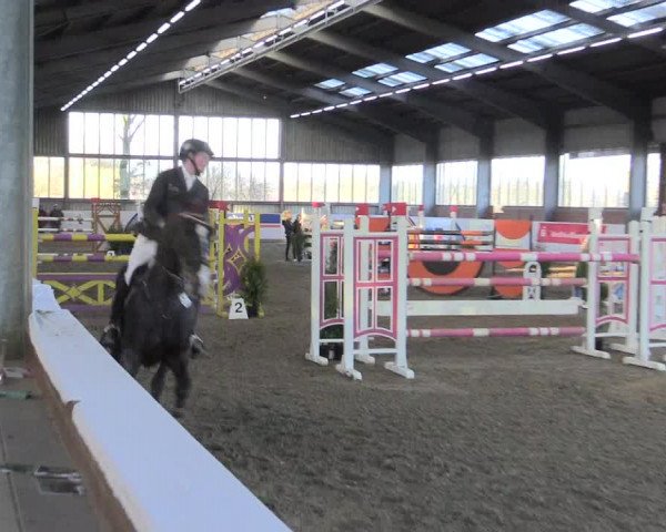 Hallenspringturnier Greven 2016