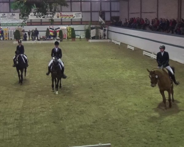 Reitturnier Monheim - Gut Blee 2016