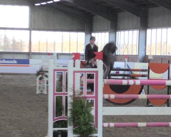 Hallenspringturnier Greven 2016