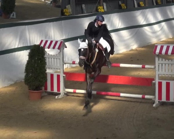 Reitturnier Monheim - Gut Blee 2016