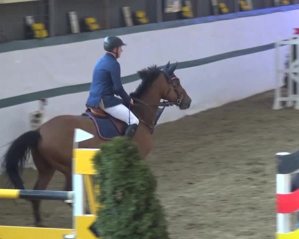 Reitturnier Monheim - Gut Blee 2016