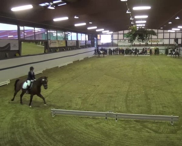Reitturnier Monheim - Gut Blee 2016