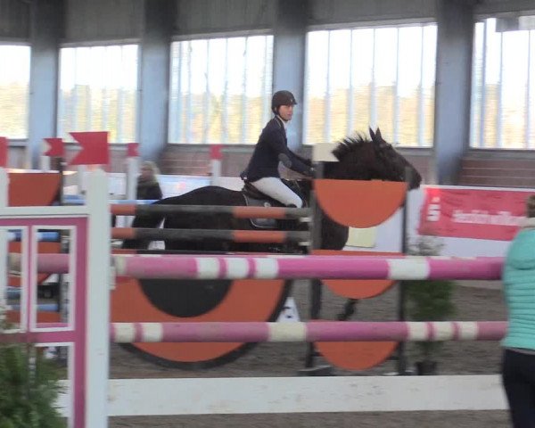 Hallenspringturnier Greven 2016