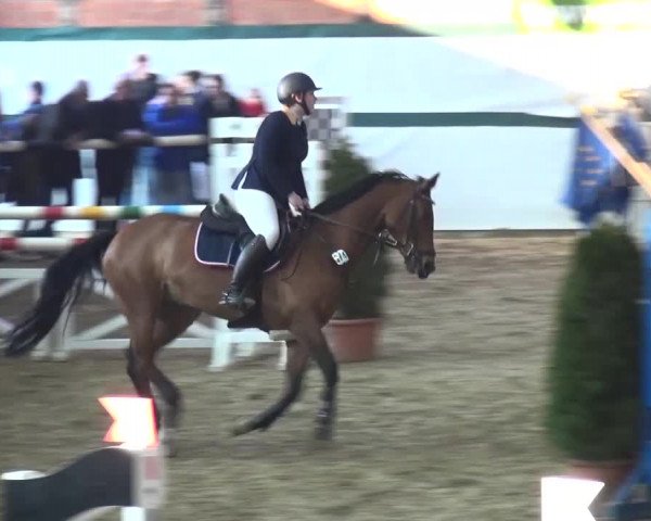Reitturnier Monheim - Gut Blee 2016