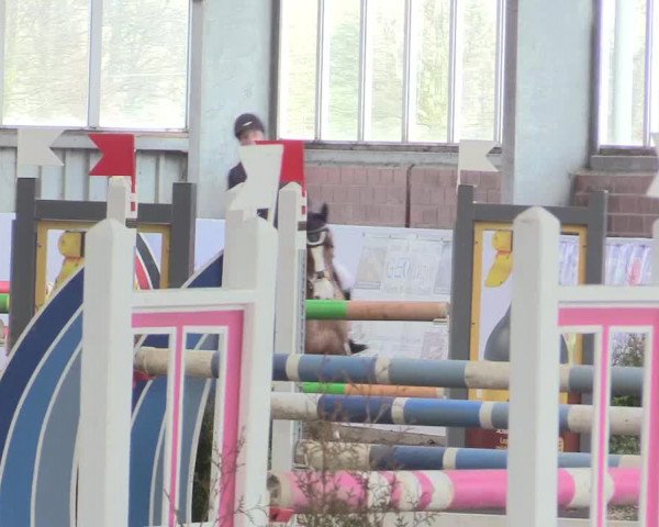 Hallenspringturnier Greven 2016