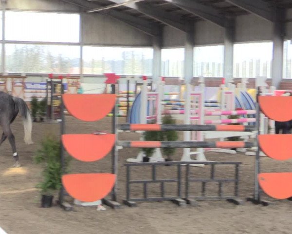 Hallenspringturnier Greven 2016