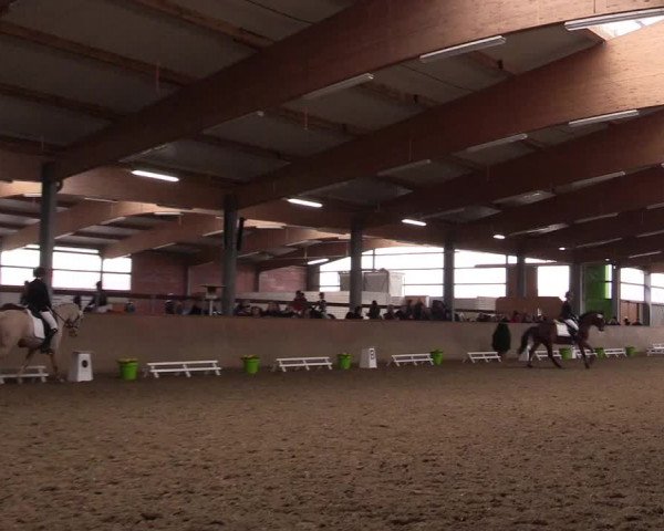 Reitturnier Altenberge 2016