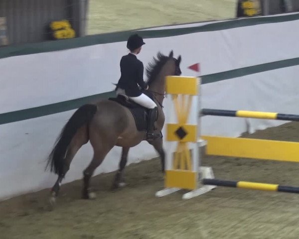 Reitturnier Monheim - Gut Blee 2016