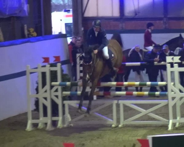 Reitturnier Monheim - Gut Blee 2016