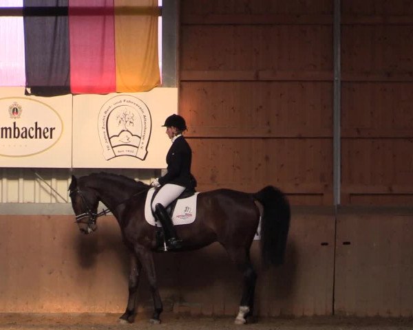 Reitturnier Altenberge 2016