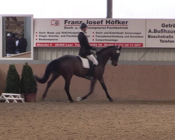 Reitturnier Altenberge 2016