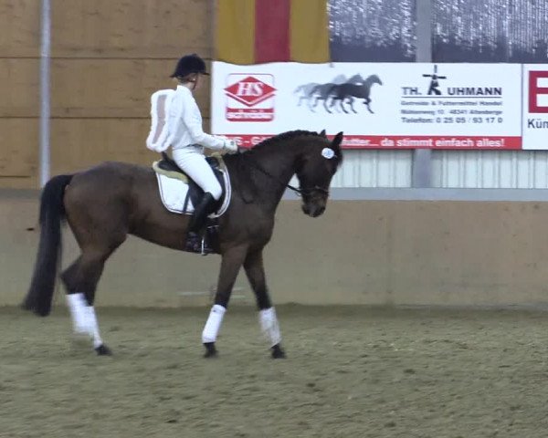 Reitturnier Altenberge 2016