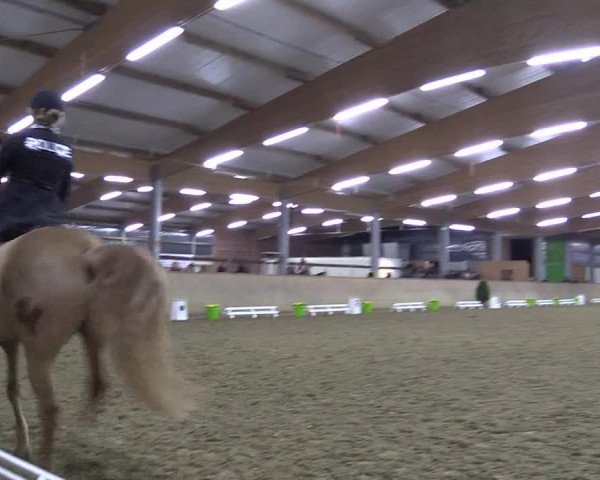 Reitturnier Altenberge 2016