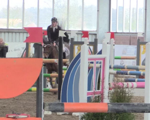 Hallenspringturnier Greven 2016