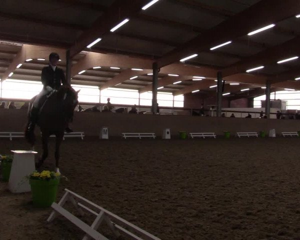 Reitturnier Altenberge 2016