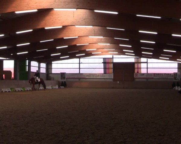 Reitturnier Altenberge 2016