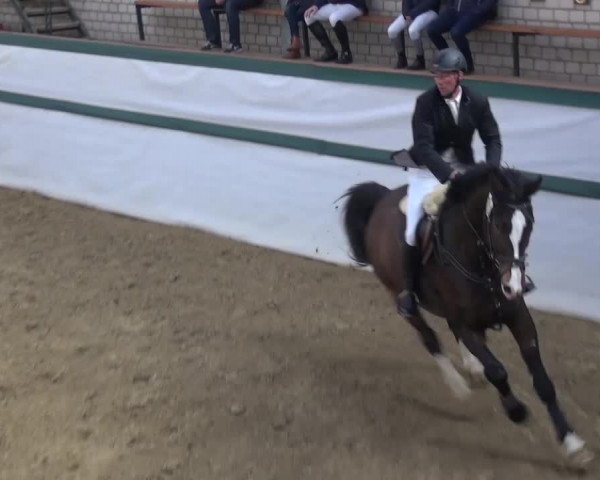 Reitturnier Monheim - Gut Blee 2016