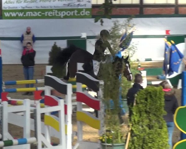 Reitturnier Monheim - Gut Blee 2016
