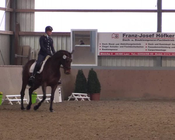 Reitturnier Altenberge 2016