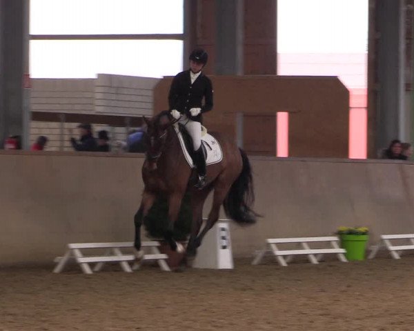 Reitturnier Altenberge 2016