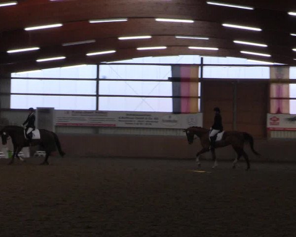 Reitturnier Altenberge 2016