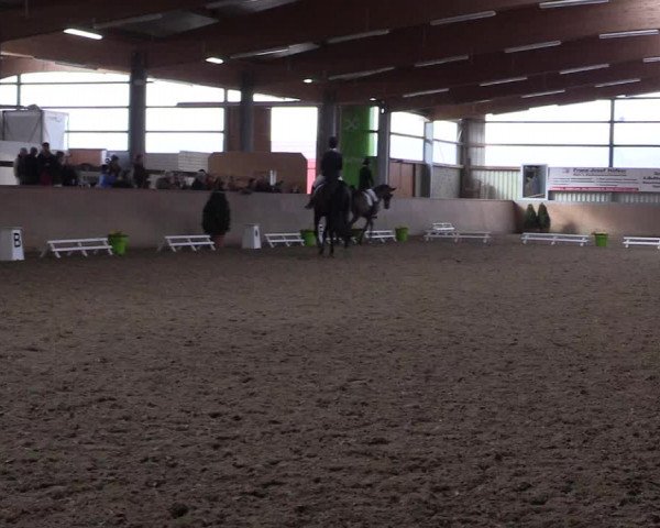 Reitturnier Altenberge 2016