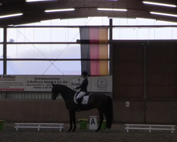Reitturnier Altenberge 2016