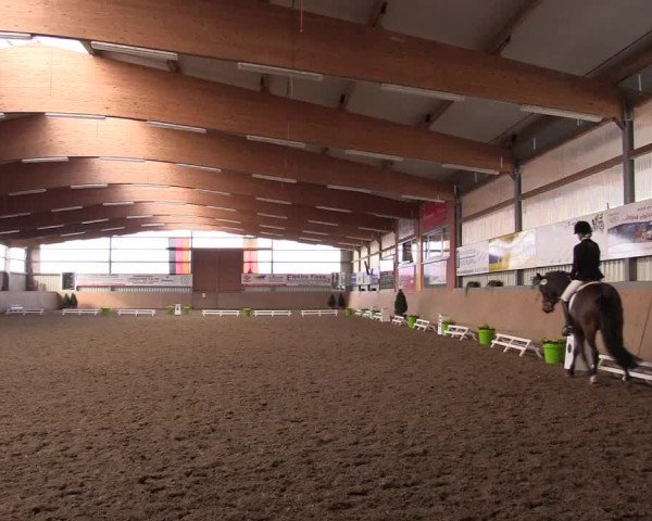 Reitturnier Altenberge 2016