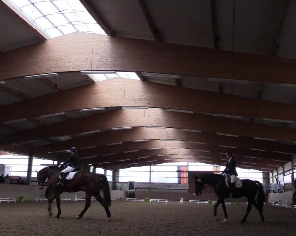 Reitturnier Altenberge 2016