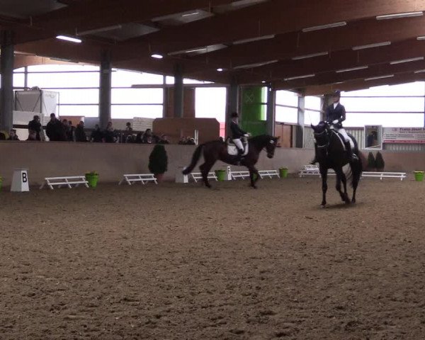 Reitturnier Altenberge 2016
