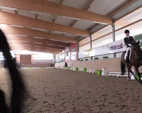 Reitturnier Altenberge 2016