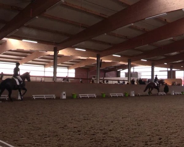Reitturnier Altenberge 2016