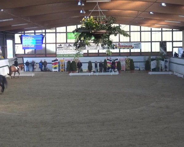 Reitturnier Monheim - Gut Blee 2016