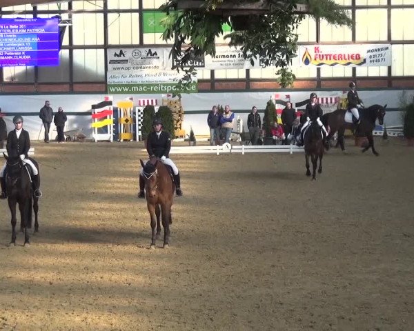 Reitturnier Monheim - Gut Blee 2016