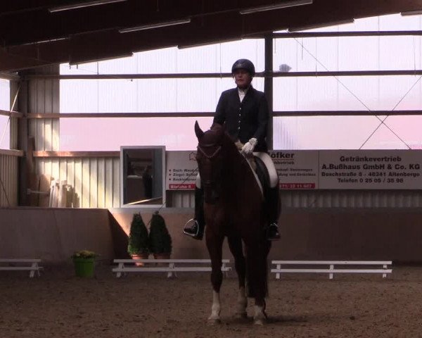 Reitturnier Altenberge 2016