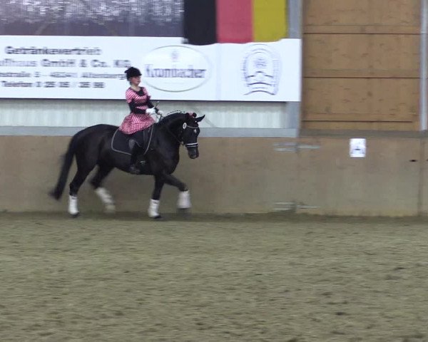 Reitturnier Altenberge 2016