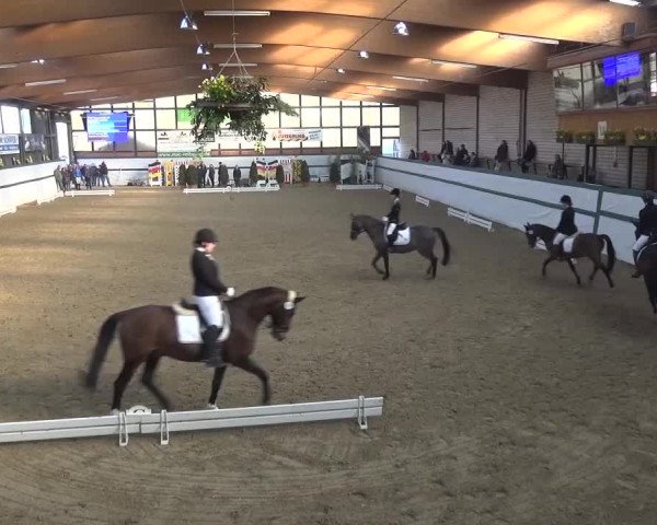 Reitturnier Monheim - Gut Blee 2016